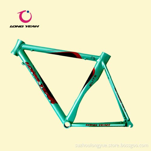 Electric Bike Frame (F16)